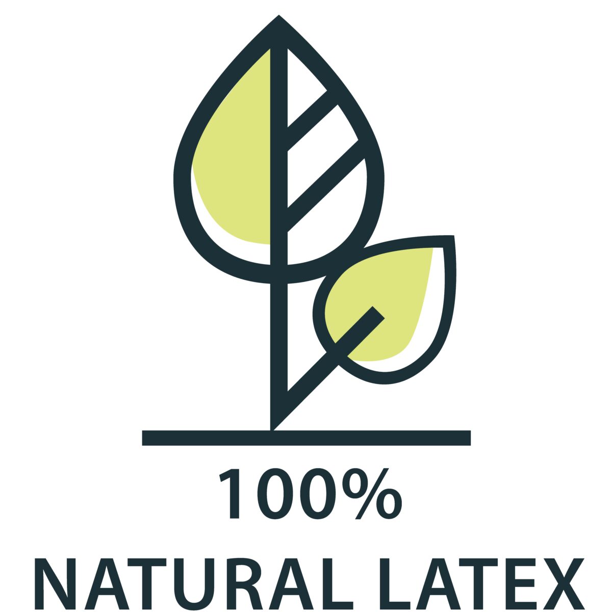 Natural Latex